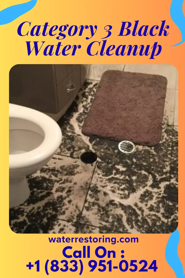 Category 3 Black Water Cleanup in Silver City, MS