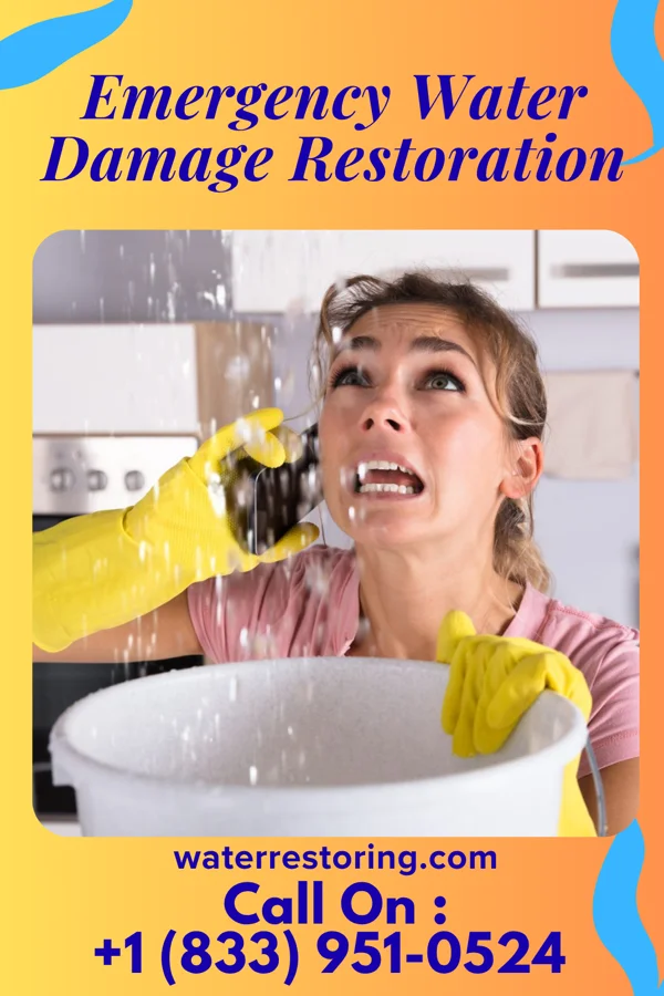 Emergency Water Damage Restoration in Silver City, MS