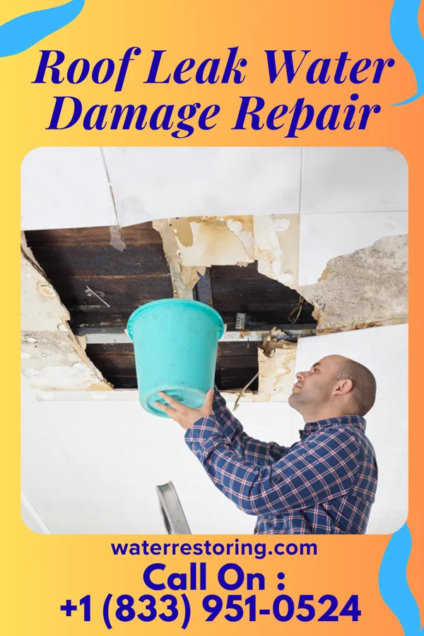 Roof Leak Water Damage Repair in Silver City, MS